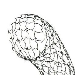 Linha de Stents Trammit